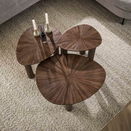 Ensemble de table basse de 3 Myla Triangulaire en Teck Brun