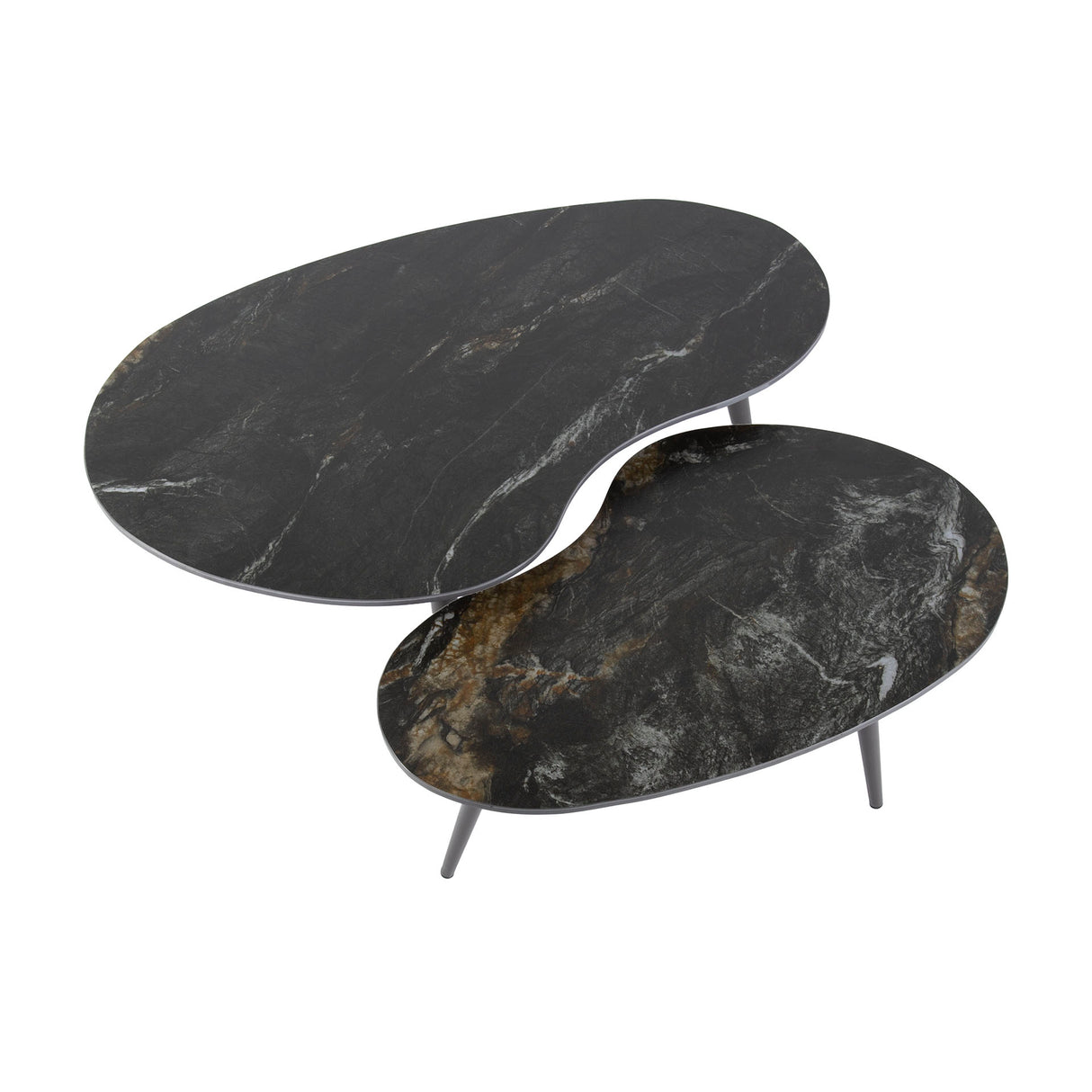 Niora Niervormige Salontafel Set van 2 Keramiek Fossil Black