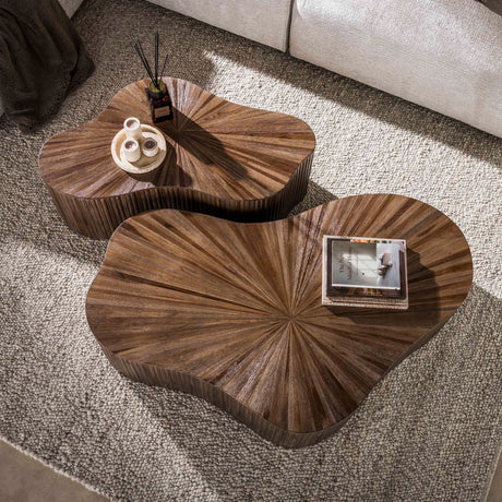 Lot de 2 tables basses bio en teck marron foncé Japandi Myla