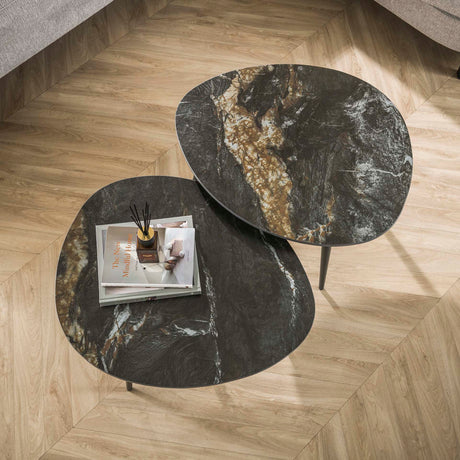 Niora Ensemble de tables basses organiques de 2 pièces en céramique Fossil Noir 