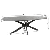 Eettafel Mysha Deens ovaal melamine 215 cm