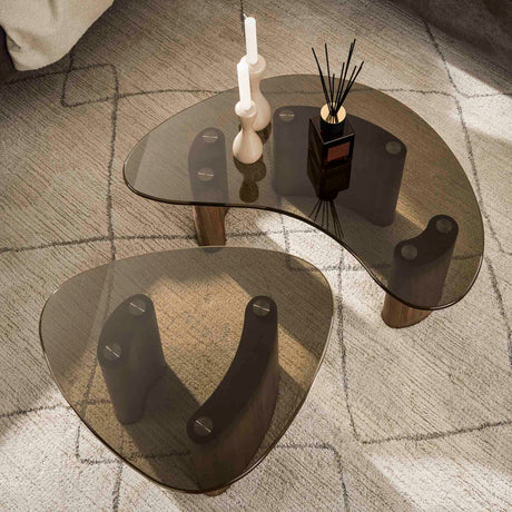 Ensemble de tables basses en bronze et verre, 2 pièces 